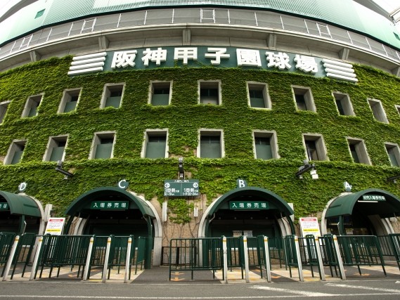 夏の甲子園　神奈川県予選