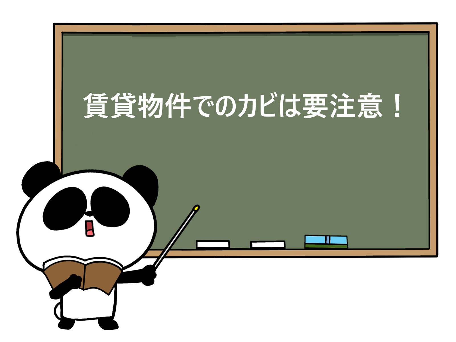 賃貸物件でのカビは要注意